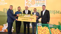 Malatya'da kayısılar yarıştı