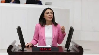 CHP’li Altaca Kayışoğlu’ndan TBMM'de sert eleştiri