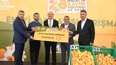 Malatya'da kayısılar yarıştı
