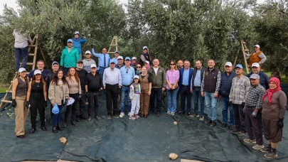 Akhisar’da zeytin hasadı: Kıracaksan zeytin kır