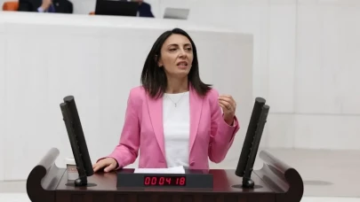 CHP’li Altaca Kayışoğlu’ndan TBMM'de sert eleştiri