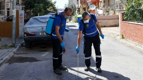 Buca’da Haşere ve Zararlılara Karşı İlaçlama Seferberliği