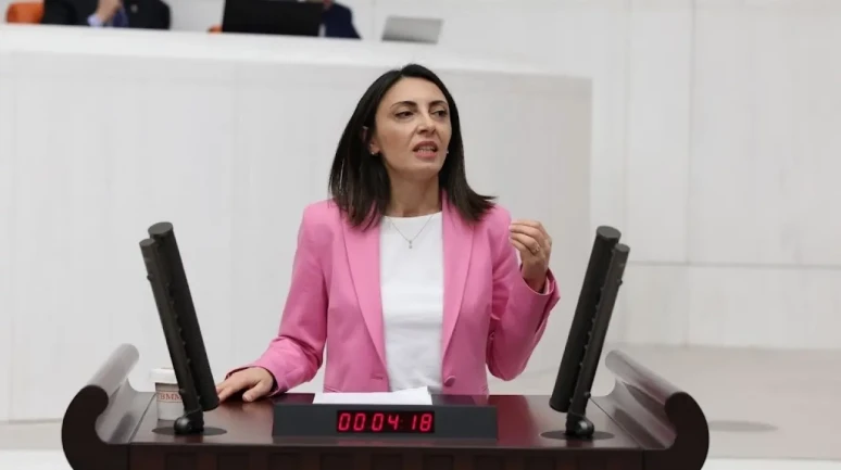 CHP’li Altaca Kayışoğlu’ndan TBMM'de sert eleştiri
