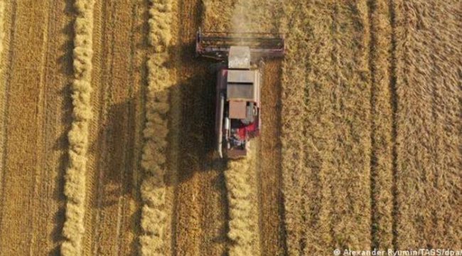 Buğday fiyatları 10 yılın zirvesinde