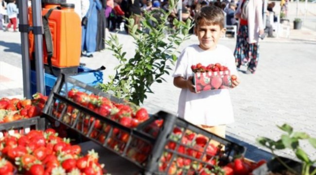 Bursa İnegöl'de 'Kırmızı Elmas'ın ünü sınırları aştı