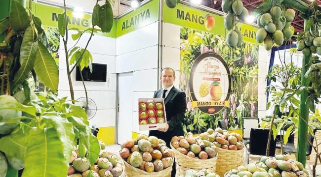 'Türk mangosu marka olacak'